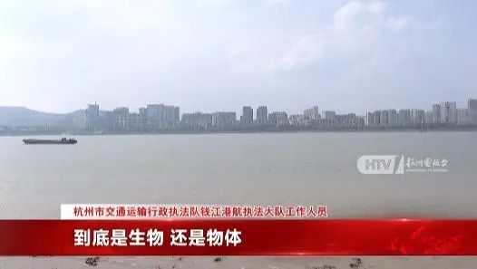 塘江水面疑似出现高速不明物：可能超5米米乐体育app网站江西天降火球未头绪钱(图3)