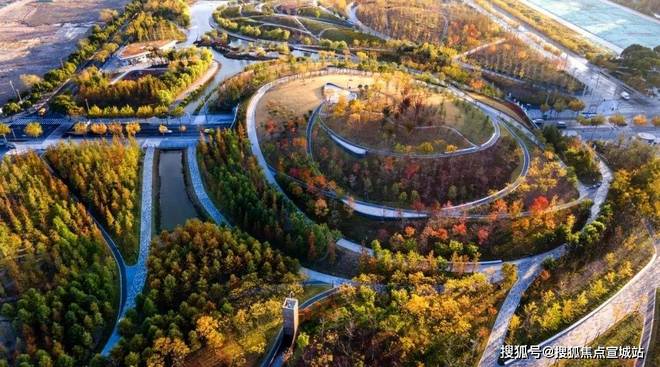 站发布)2025年房价_户型配套普陀金茂府售楼处(普陀金茂府网(图12)